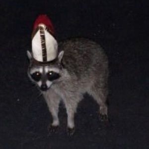 Meet your Posher, Dustin